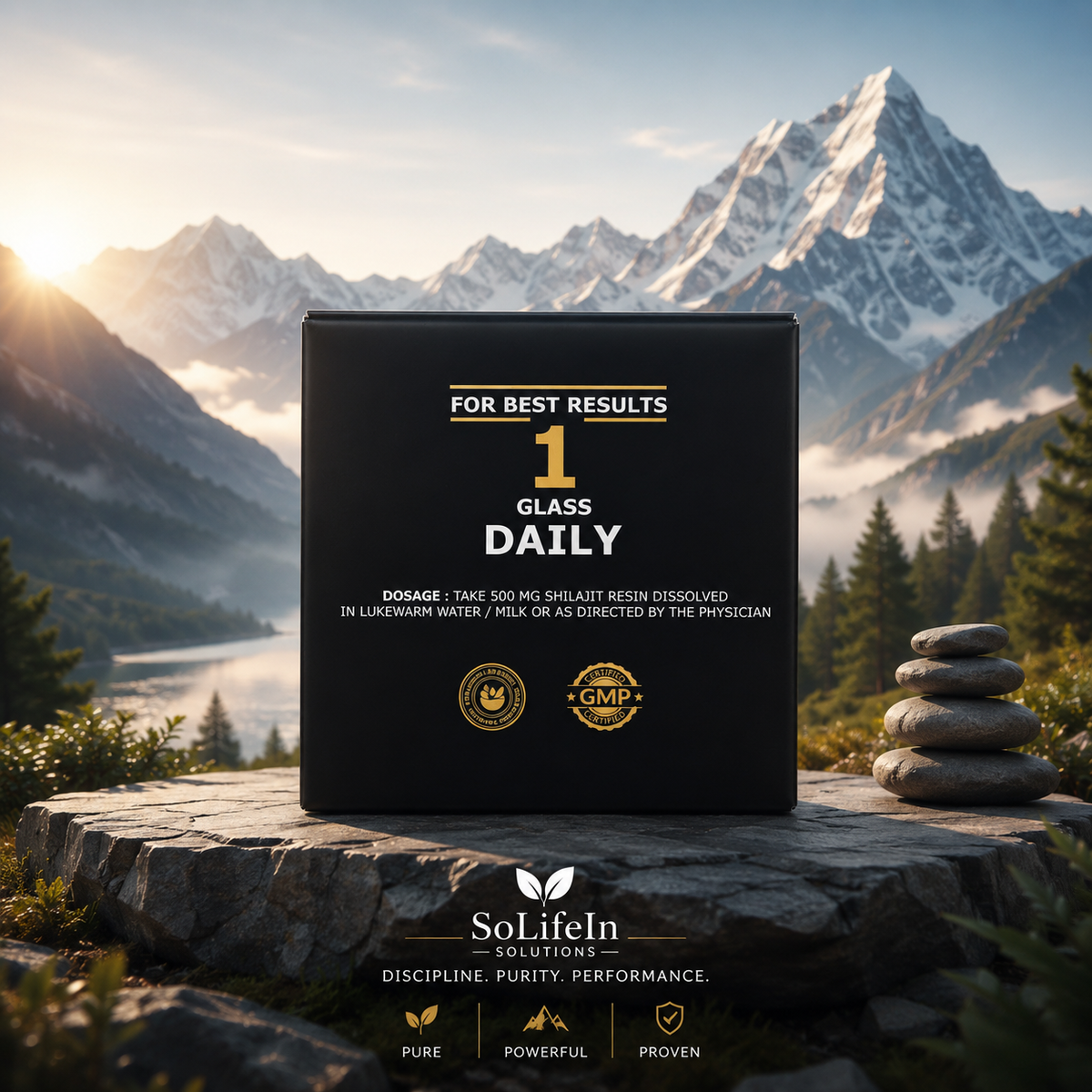 Himalayan Shilajit Pure Resin โ 20g